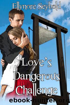 Love's Dangerous Challenge by Ellynore Seybold