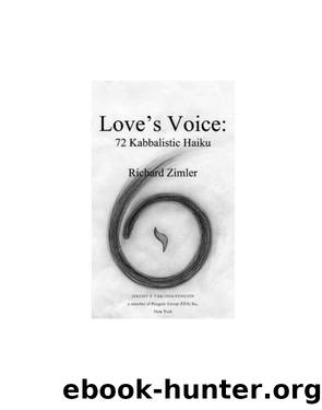 Love's Voice by Richard Zimler