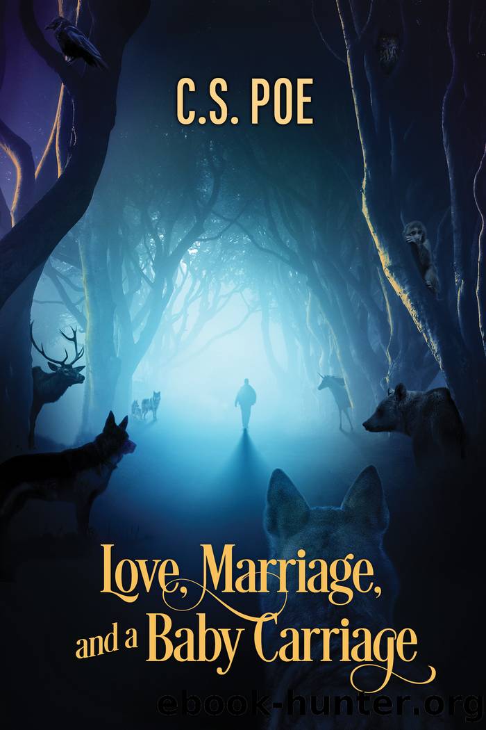 Love, Marriage, and a Baby Carriage by Poe C. S