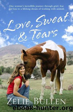 Love, Sweat and Tears by Zelie Bullen