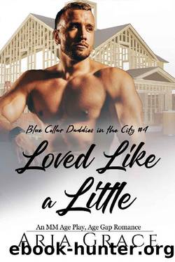 Loved Like a Little: An MM Age Play Daddy Romance by Aria Grace