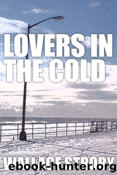 Lovers in the Cold by Wallace Stroby