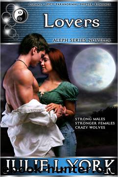 Lovers: An Aleph Series Stories Novella by Julie L. York