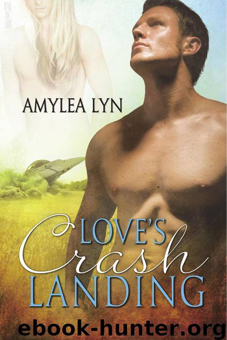 Loves Crash Landing by Amylea Lyn