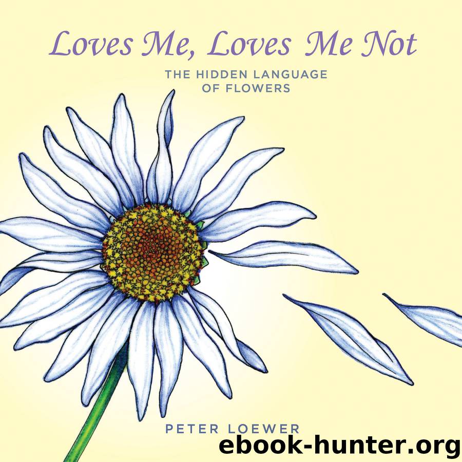 Loves Me, Loves Me Not by Peter Loewer