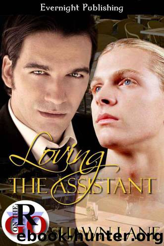 Loving 2 - Loving The Assistant by Shawn Lane
