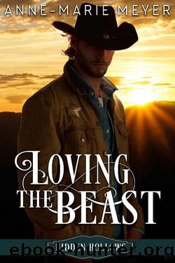 Loving the Beast: A Sweet Small Town Romance (Hidden Hollows Book 1) by Anne-Marie Meyer & Sweet Heart Books