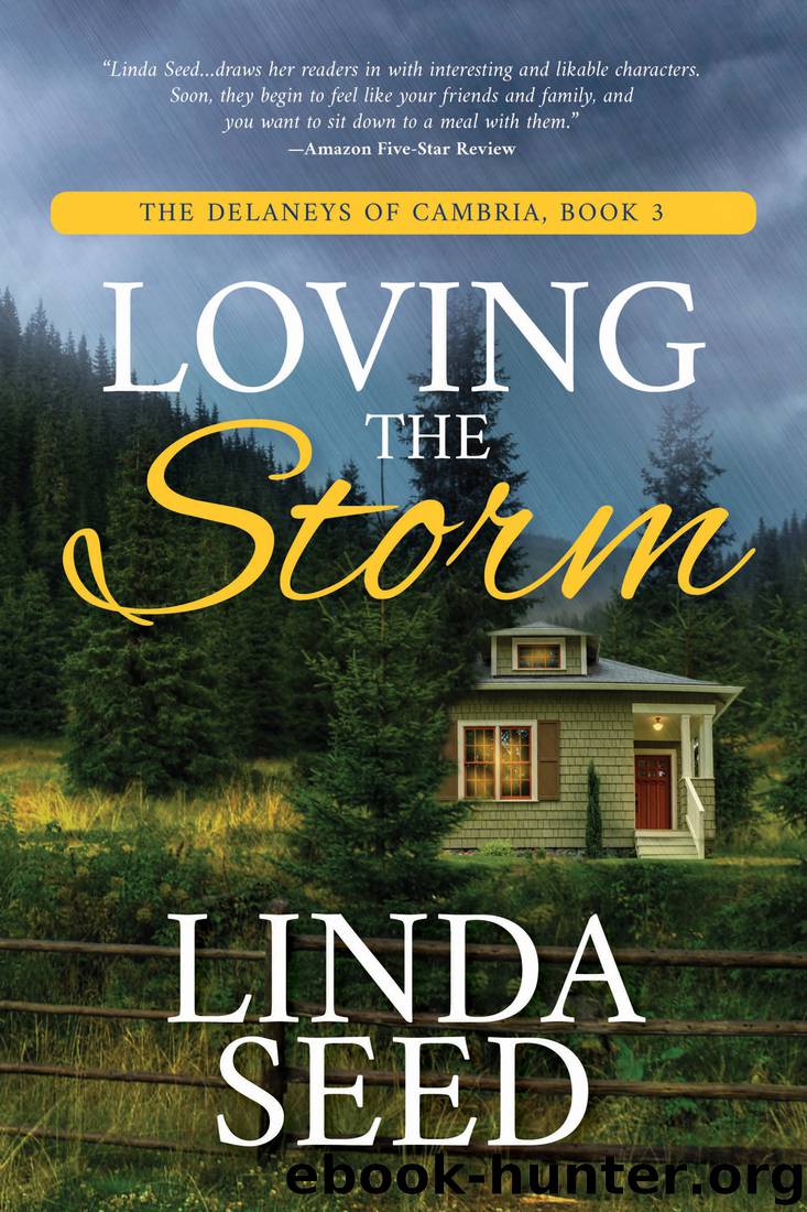 Loving the Storm by Linda Seed