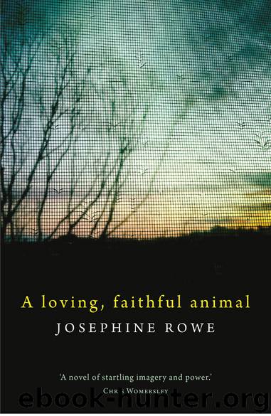 Loving, Faithful Animal by Josephine Rowe
