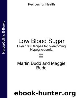 Low Blood Sugar by Martin Budd
