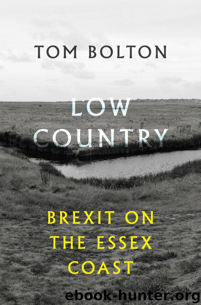 Low Country by Tom Bolton