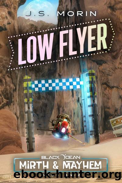 Low Flyer by J.S. Morin