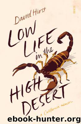 Low Life in the High Desert by David Hirst