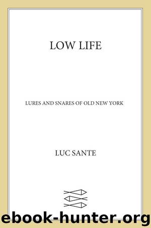 Low Life: Lures and Snares of Old New York by Luc Sante