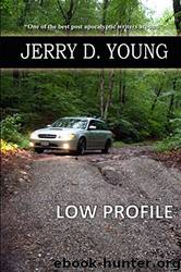 Low Profile by Jerry D. Young