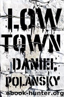 Low Town: A Novel by Daniel Polansky