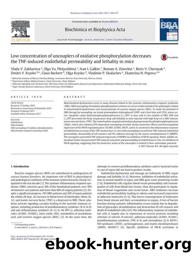Low concentration of uncouplers of oxidative phosphorylation decreases the TNF-induced endothelial permeability and lethality in mice by unknow