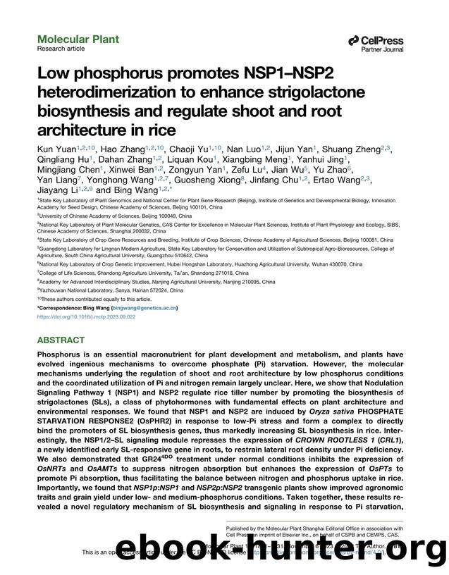 Low phosphorus promotes NSP1-NSP2 heterodimerization to enhance strigolactone biosynthesis and regulate shoot and root architecture&nbsp;in rice by unknow