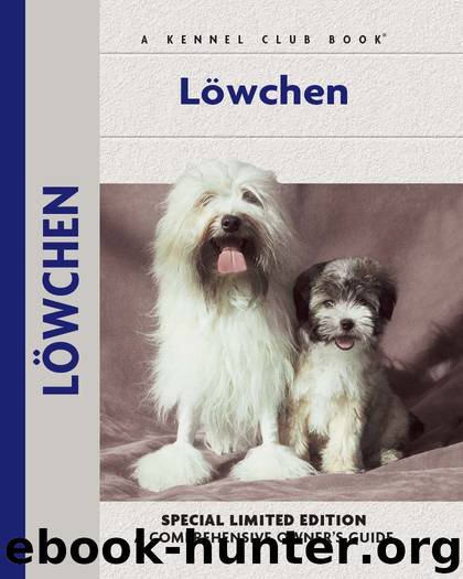 Lowchen by Juliette Cunliffe