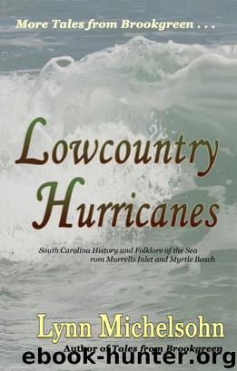 Lowcountry Hurricanes by Lynn Michelsohn