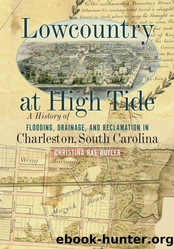 Lowcountry at High Tide by Christina Rae Butler;