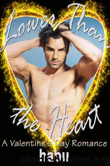 Lower Than the Heart by habu
