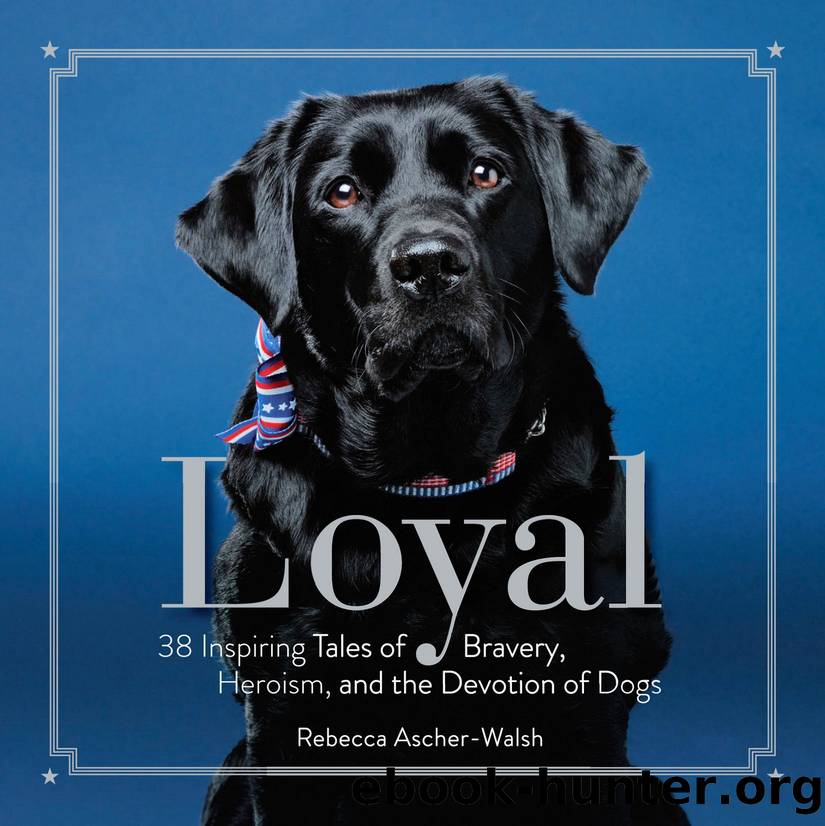 Loyal: 38 Inspiring Tales of Bravery, Heroism, and the Devotion of Dogs by Rebecca Ascher-Walsh