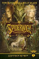 Lucinda's Secret by Diterlizzi Tony & Black Holly