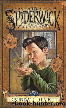 Lucinda's Secret by Tony DiTerlizzi & Holly Black