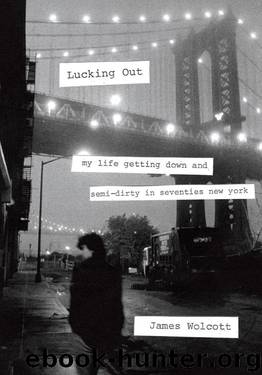 Lucking Out: My Life Getting Down and Semi-Dirty in the Seventies by James Wolcott