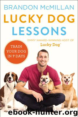 Lucky Dog Lessons by Brandon McMillan