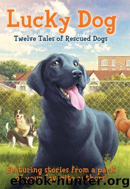 Lucky Dog by Elizabeth Cody Kimmel