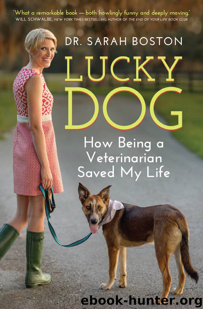 Lucky Dog by Sarah Boston