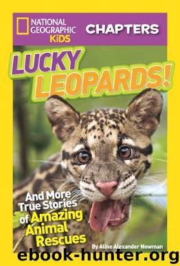 Lucky Leopards by Aline Alexander Newman