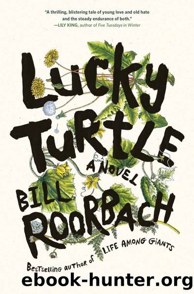 Lucky Turtle by Bill Roorbach