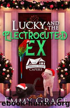 Lucky and the Electrocuted Ex by Emmy Grace