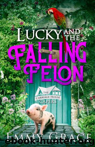 Lucky and the Falling Felon by Emmy Grace