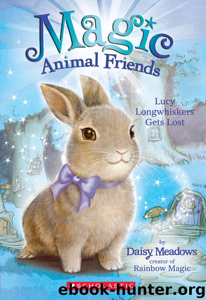 Lucy Longwhiskers Gets Lost by Daisy Meadows