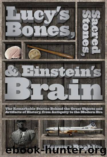 Lucy's Bones, Sacred Stones, & Einstein's Brain by Harvey Rachlin