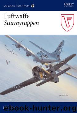Luftwaffe Sturmgruppen by John Weal