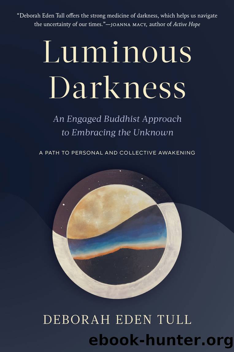 Luminous Darkness by Deborah Eden Tull