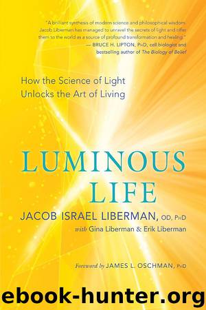 Luminous Life by Jacob Israel Liberman