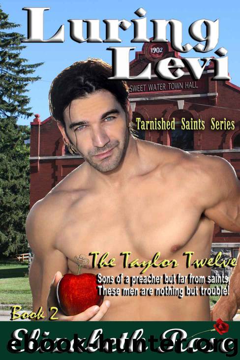 Luring Levi (Tarnished Saints Series Book 2) by Elizabeth Rose