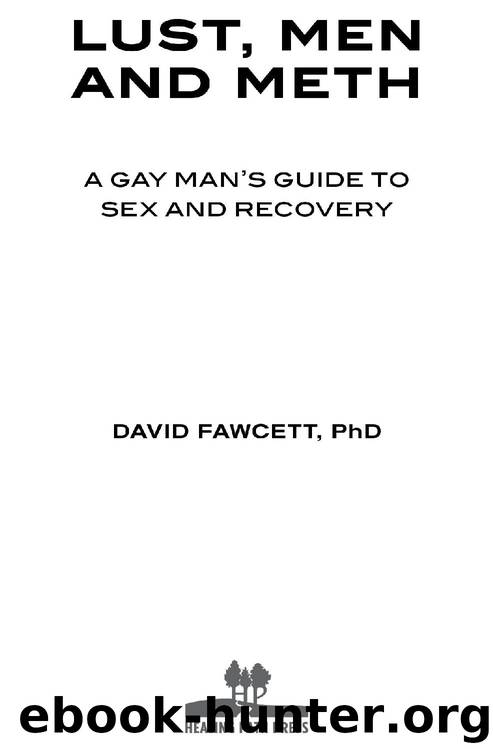Lust, Men, and Meth: A Gay Man's Guide to Sex and Recovery by David M Fawcett