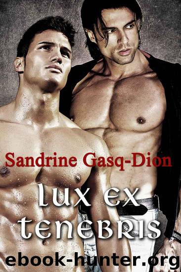Lux Ex Tenebris (The 12 Olympians #3) by Sandrine Gasq-Dion
