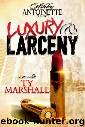Luxury and Larceny, Part 1 by Ty Marshall