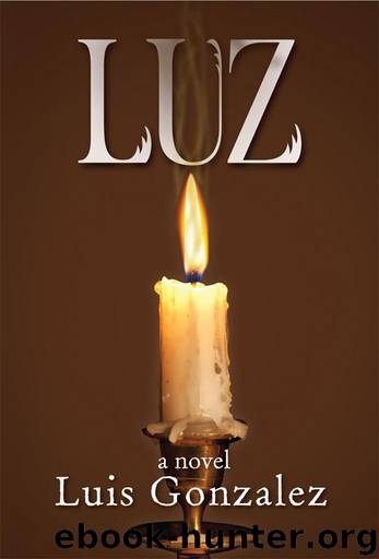 Luz: book i: comings and goings (Troubled Times 1) by Luis Gonzalez