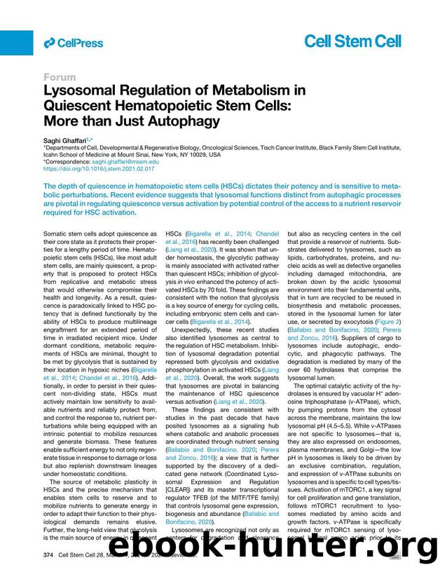 Lysosomal Regulation of Metabolism in Quiescent Hematopoietic Stem Cells: More than Just Autophagy by Saghi Ghaffari