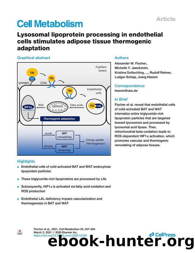 Lysosomal lipoprotein processing in endothelial cells stimulates adipose tissue thermogenic adaptation by unknow