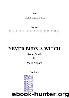 M. R. Sellars - Rowan Gant 2 by Never Burn A Witch